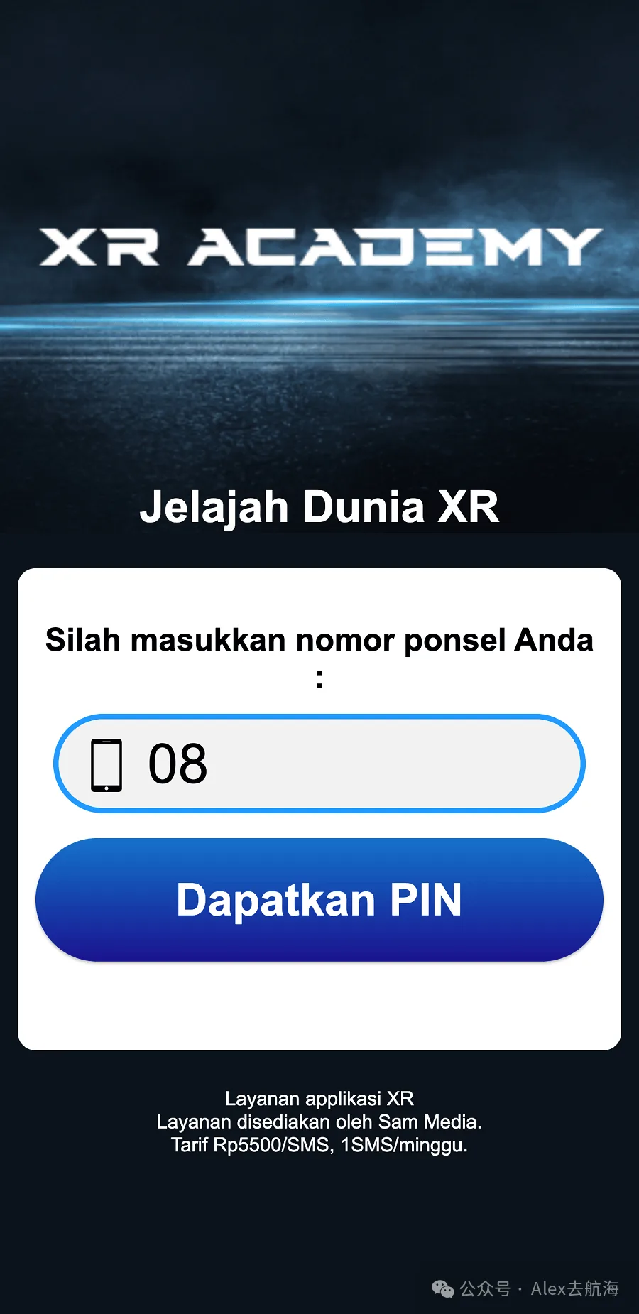 offer落地页的Pin Submit界面